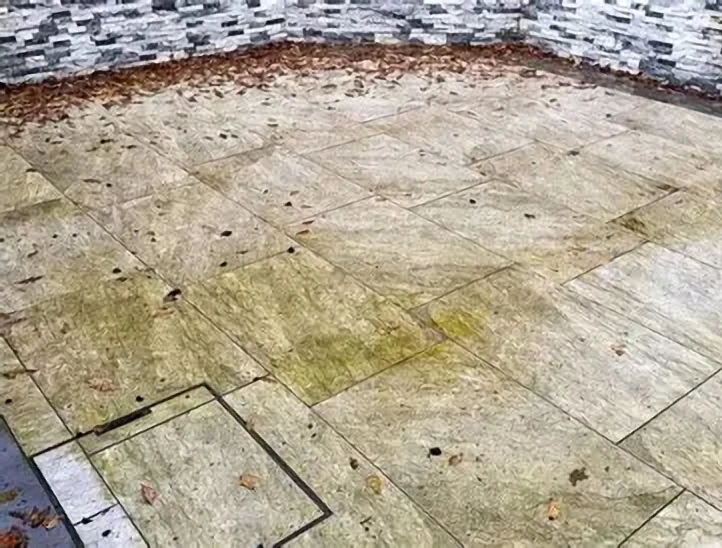 Patio stone with a medium layer of green algae buildup